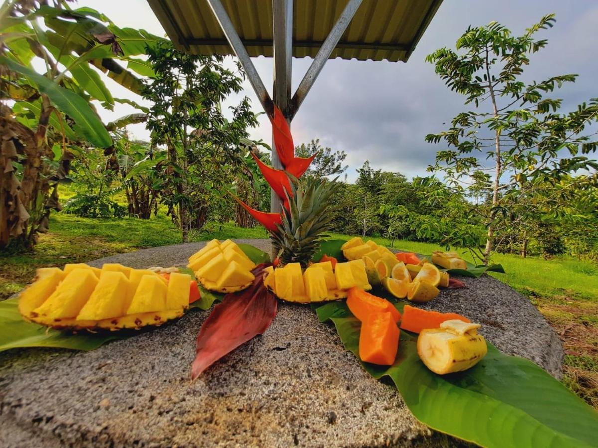 Cabanas Montanas Del Tenorio Rio Celeste Eksteriør bilde