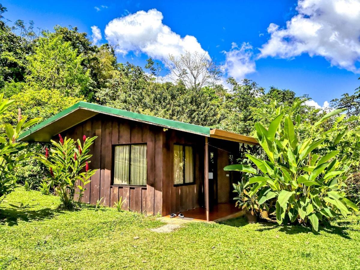 Cabanas Montanas Del Tenorio Rio Celeste Eksteriør bilde