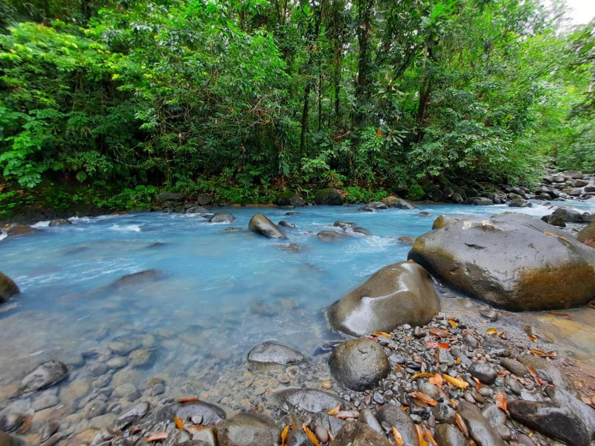 Cabanas Montanas Del Tenorio Rio Celeste Eksteriør bilde