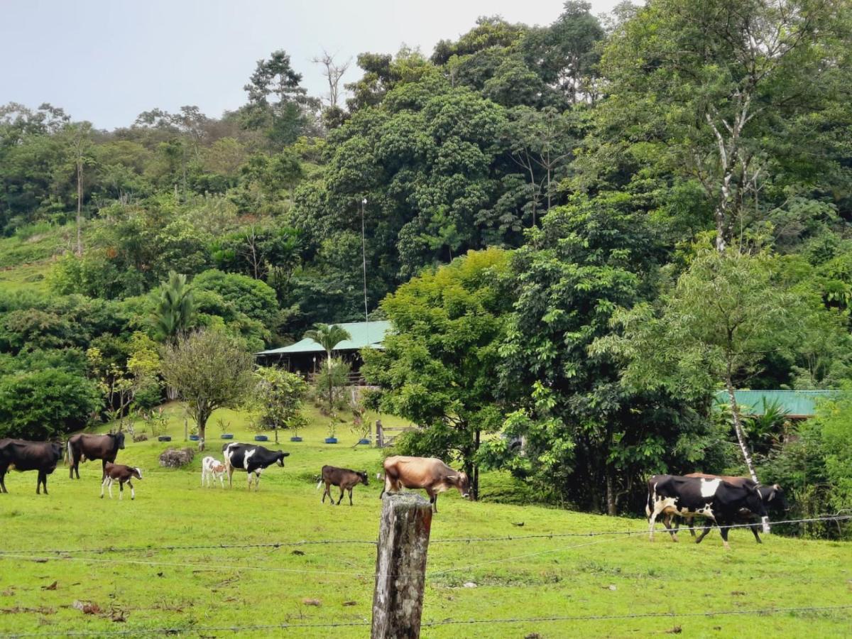 Cabanas Montanas Del Tenorio Rio Celeste Eksteriør bilde
