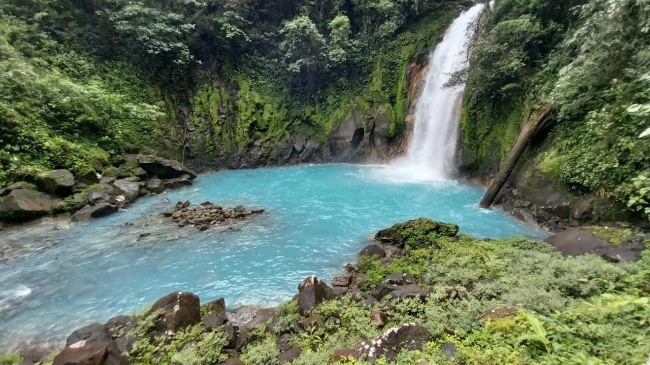 Cabanas Montanas Del Tenorio Rio Celeste Eksteriør bilde